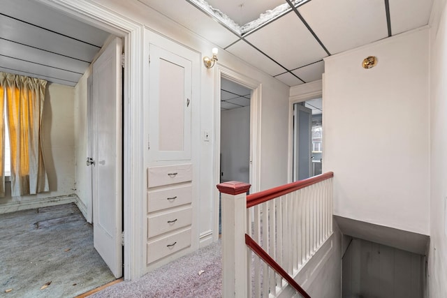 hallway with light carpet and a paneled ceiling