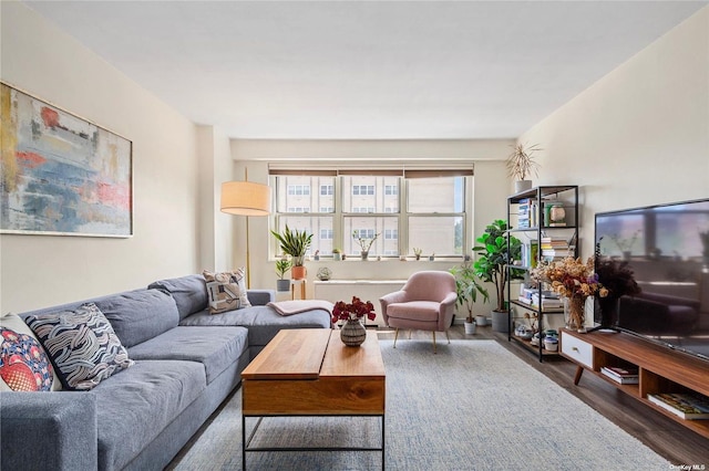 living room featuring dark wood-type flooring