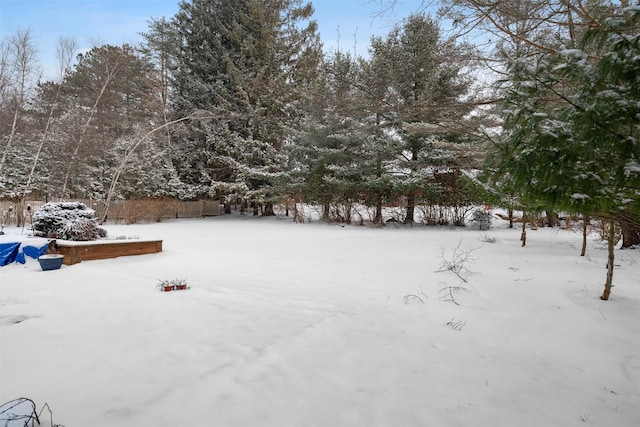 view of snowy yard