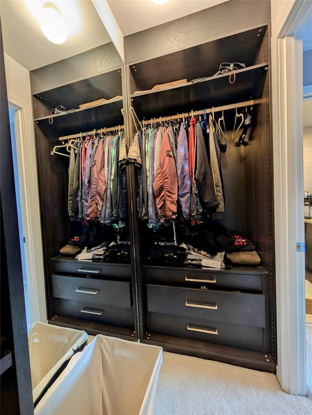 view of closet