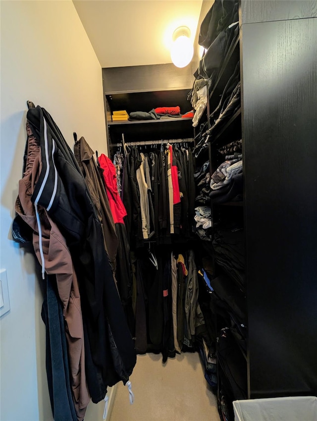 walk in closet featuring carpet