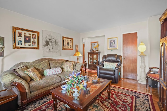 living room with wood-type flooring