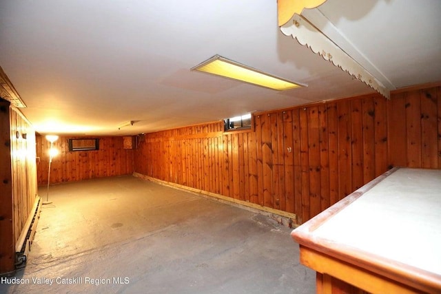 basement with wooden walls