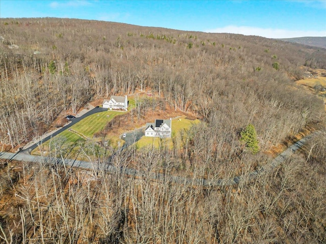 drone / aerial view with a mountain view