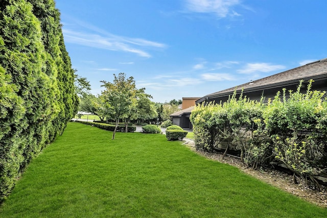 9 Porpoise Ct, Northport, NY 11768 - photo 29