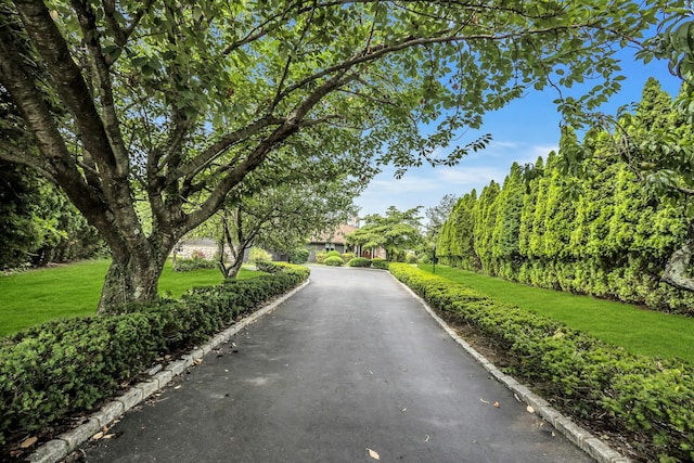 view of street