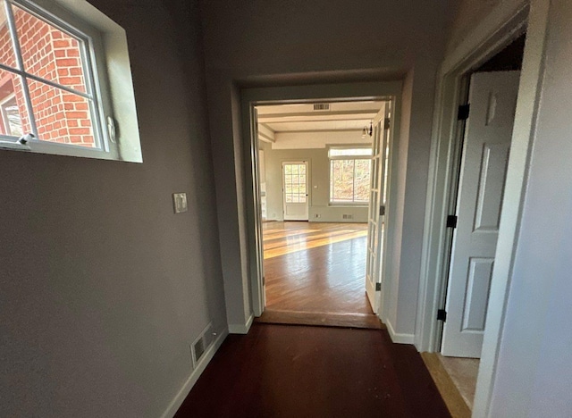 hallway with hardwood / wood-style floors