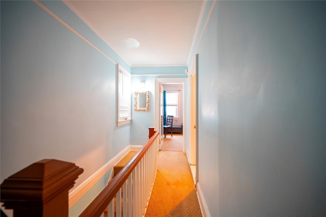 hallway with crown molding and light carpet