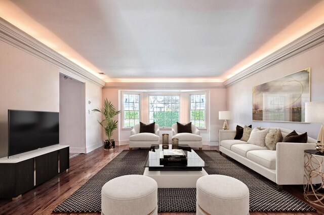 living room featuring dark wood-type flooring