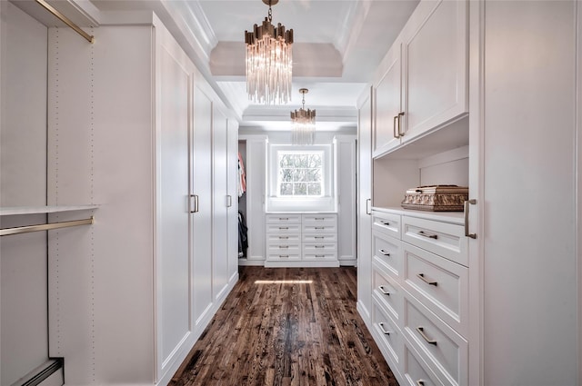 walk in closet with dark hardwood / wood-style floors and a notable chandelier