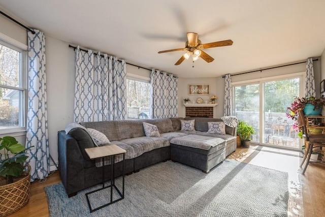 living room with ceiling fan and light hardwood / wood-style floors