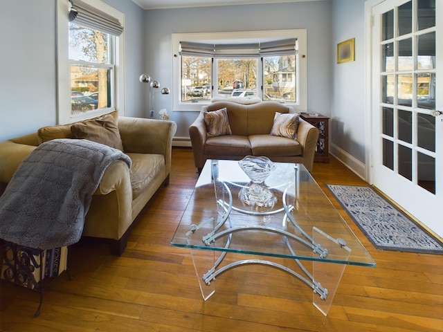 living room with baseboard heating and wood-type flooring