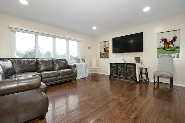 living room with dark hardwood / wood-style floors