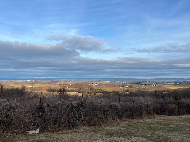 view of local wilderness with a rural view