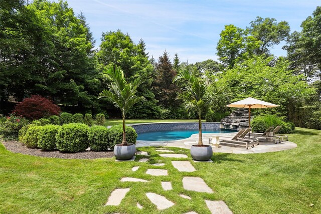 pool with a yard and a patio