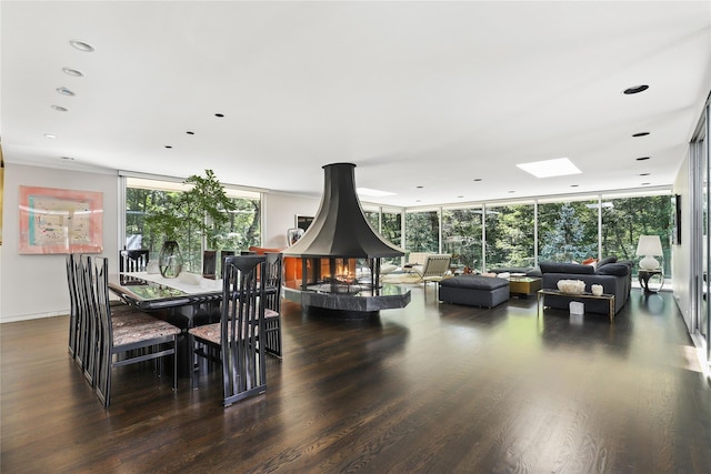 dining space featuring a wall of windows, a skylight, a healthy amount of sunlight, and dark hardwood / wood-style floors