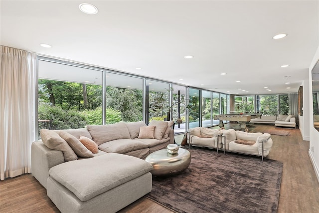 living room featuring billiards and light hardwood / wood-style flooring