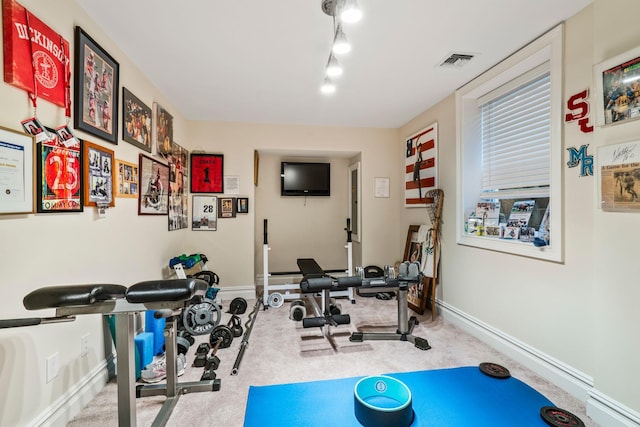 workout area featuring carpet flooring