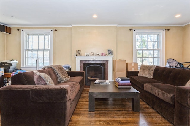 living room with dark hardwood / wood-style floors, a premium fireplace, and ornamental molding