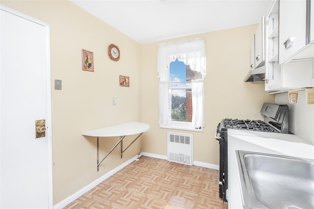 clothes washing area featuring radiator, sink, and light parquet floors