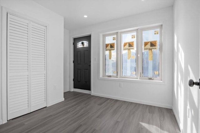 entrance foyer with plenty of natural light and wood-type flooring