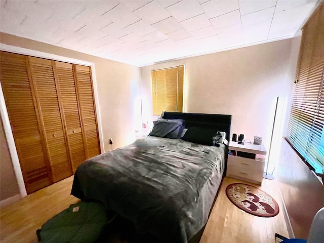 bedroom featuring a closet and hardwood / wood-style flooring