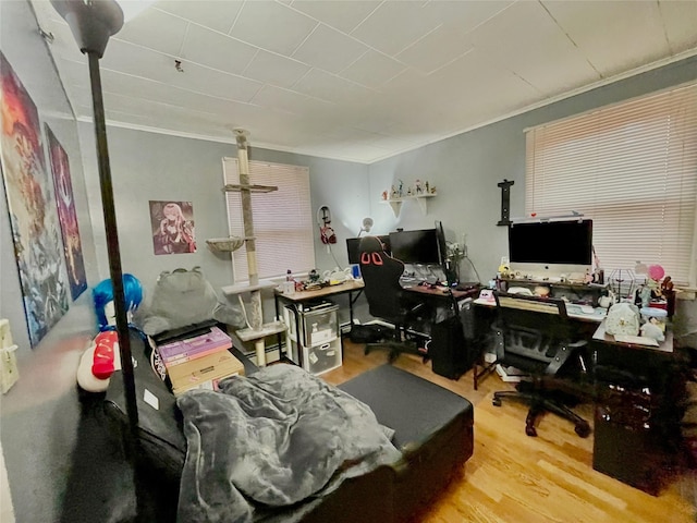 office area with hardwood / wood-style flooring and ornamental molding