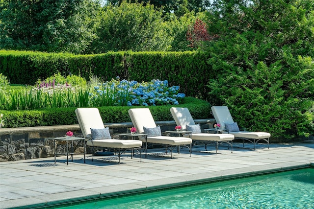 view of pool featuring a patio area