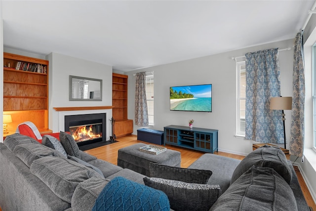 living room featuring light hardwood / wood-style flooring