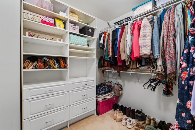 walk in closet with carpet