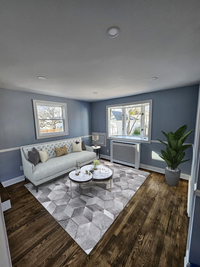 living room featuring wood-type flooring