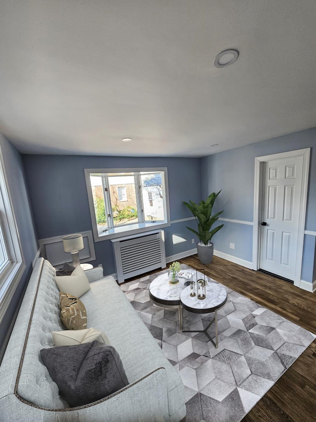 living room featuring hardwood / wood-style floors