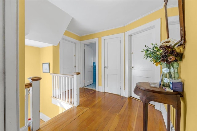 hall featuring ornamental molding and hardwood / wood-style floors