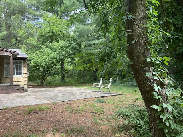 view of yard featuring a patio area