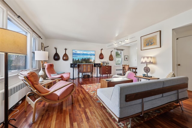 living room with hardwood / wood-style floors, rail lighting, and radiator