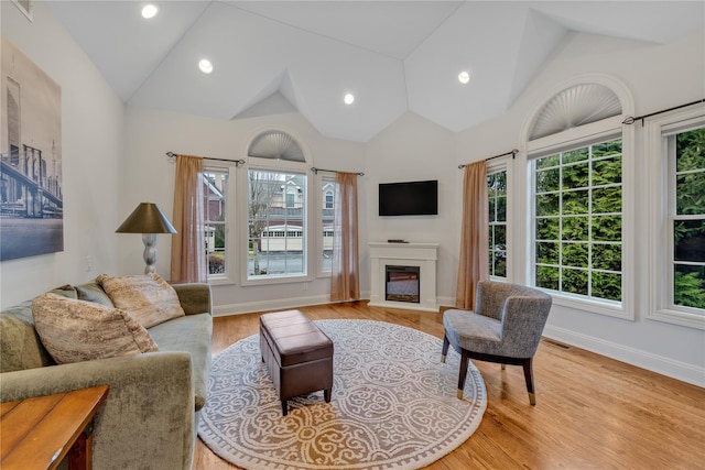 living room featuring light hardwood / wood-style floors and high vaulted ceiling