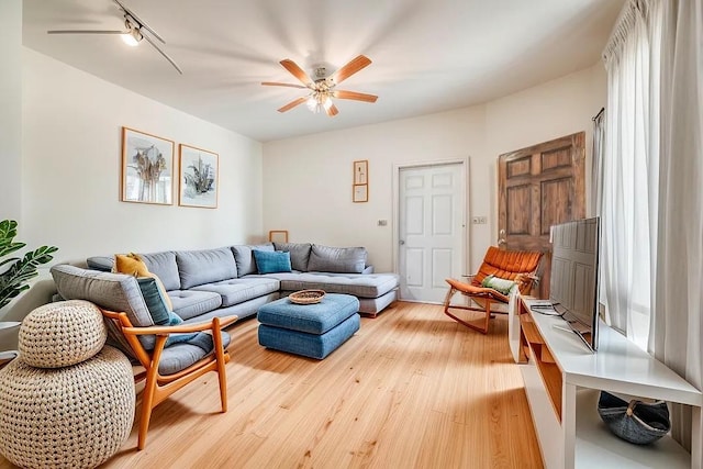 living room featuring light hardwood / wood-style floors and track lighting