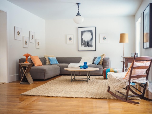 living room with hardwood / wood-style floors