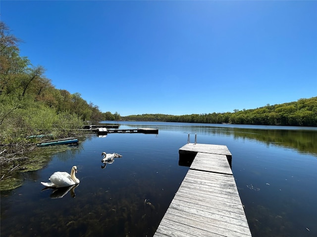 view of dock featuring a water view and a forest view