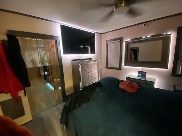 bedroom featuring ceiling fan