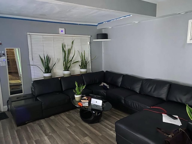 living room featuring wood-type flooring