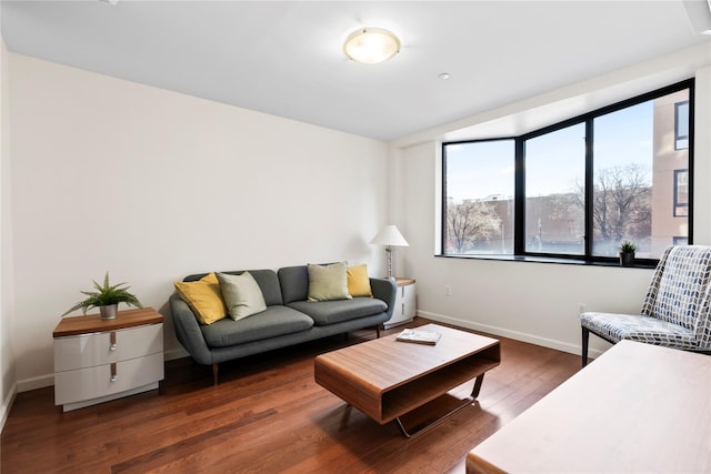 living room featuring dark wood-type flooring