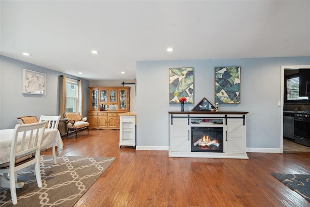 living room featuring hardwood / wood-style flooring