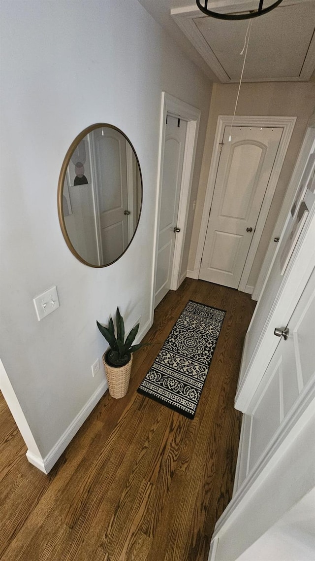 foyer entrance featuring dark hardwood / wood-style floors