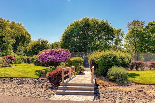 view of community featuring a lawn