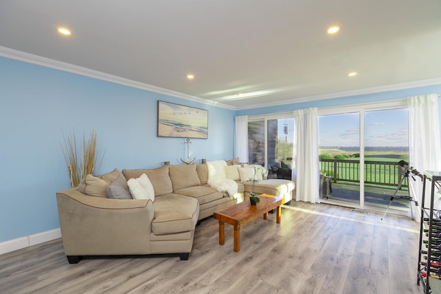 living room with crown molding and hardwood / wood-style flooring