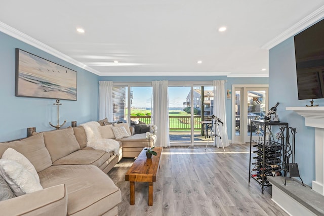 living room featuring crown molding and light hardwood / wood-style flooring