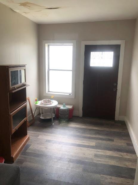 24 Wagner St, Call Listing Agent, NY 13339 - entryway featuring plenty of natural light and dark wood finished floors