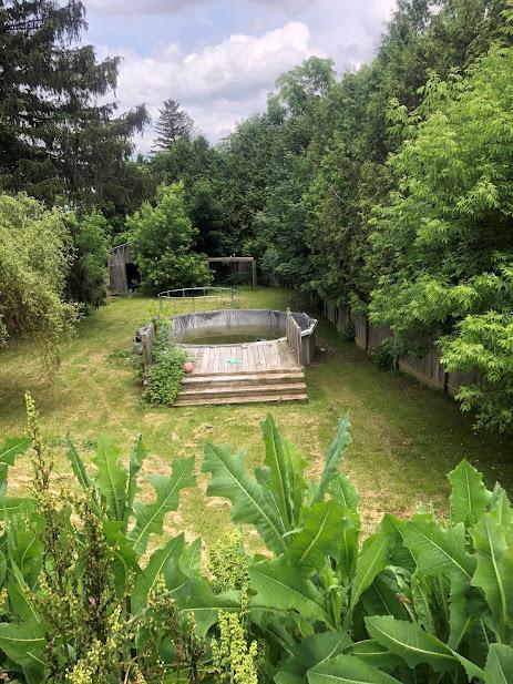 24 Wagner St, Call Listing Agent, NY 13339 - view of yard with a wooden deck