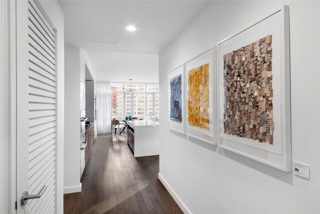 corridor featuring a chandelier, a wall of windows, and dark wood-type flooring